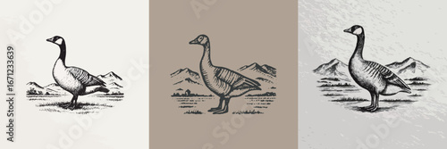 Three stylized illustrations of geese, each in different poses, set against a backdrop of mountains. The geese show unique characteristics and details, enhancing their individuality.