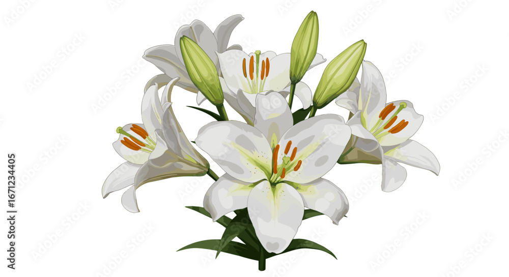 Naklejka premium Beautiful white lily flowers bouquet isolated on transparent background for elegant floral design and decoration