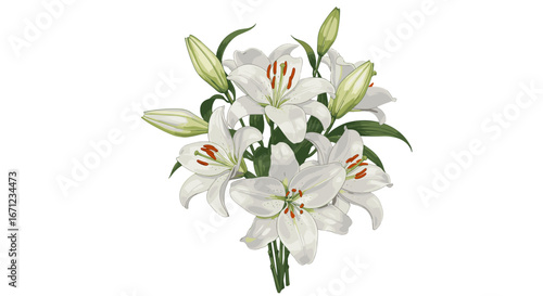 Beautiful White Lily Flower Bouquet Isolated on Transparent Background for Elegant Designs