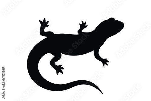 Newt  Silhouette  vector illustration, Set of Newt  Silhouette  vector illustration