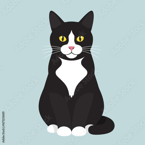 Cute tuxedo cat sitting upright with a curious expression on a light blue background