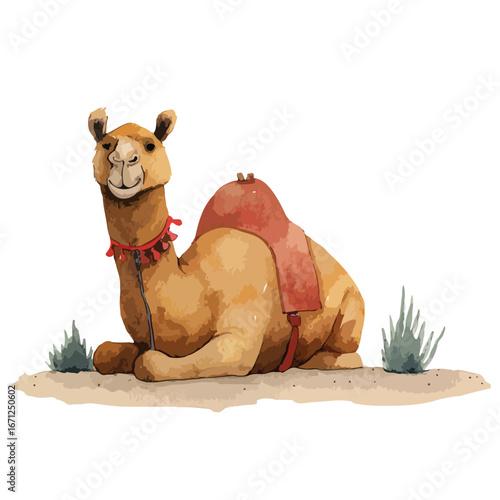 A Relaxed Camel with a Decorative Saddle in a Desert Scene