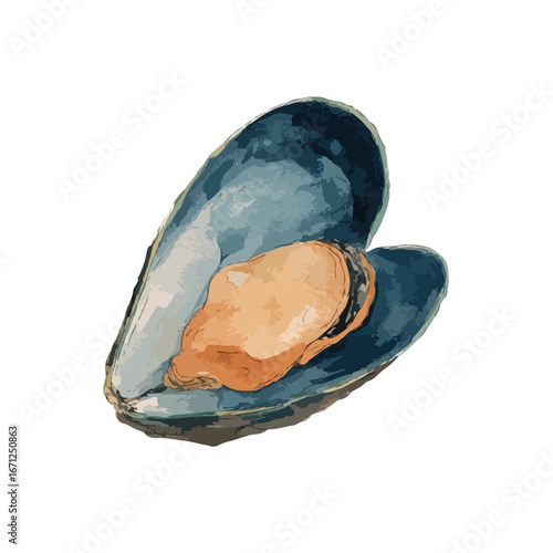 Artistic Illustration of a Freshly Opened Mussel with Detailed Texture