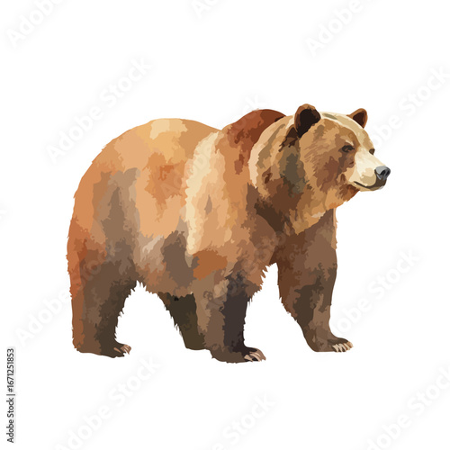 Majestic Grizzly Bear Illustration with Detailed Fur Texture and Powerful Stance