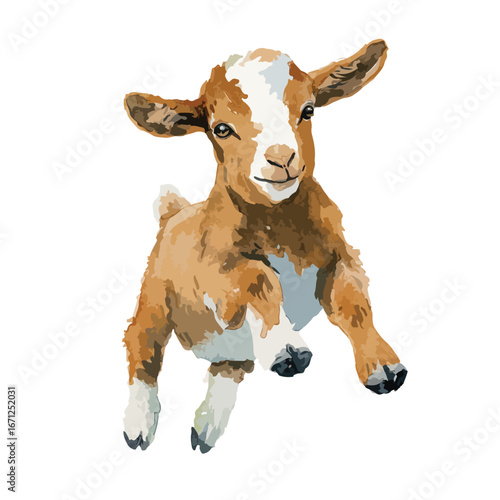 Playful Goat Kid in MidAir with Brown and White Coat Smiling