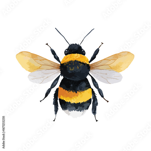 Watercolor bumblebee illustration with textured wings and detailed body