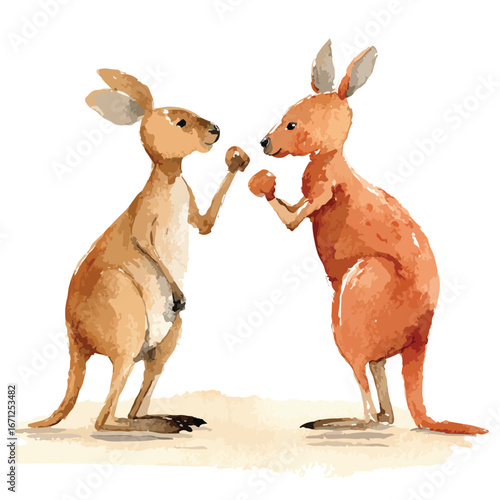 Watercolor depiction of two kangaroos facing each other in a boxing stance