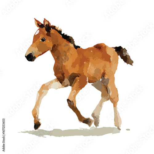 Watercolor Foal in Motion A Playful Gallop Across the Canvas