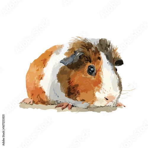 Watercolor Guinea Pig with Unique Markings and Detailed Fur Texture