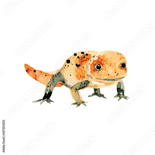 Watercolor Illustration of a ShortBodied Spotted Amphibian with a Distinctive Tail