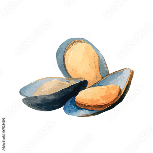 Watercolor Illustration of Freshly Opened Mussels with Vibrant Colors and Details