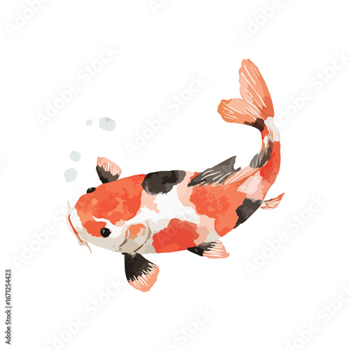 Watercolor Koi Fish with Orange White and Black Markings Swimming Upward