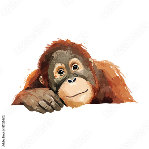 Watercolor Orangutan Resting Smiling with Gentle Expression and Soft Fur