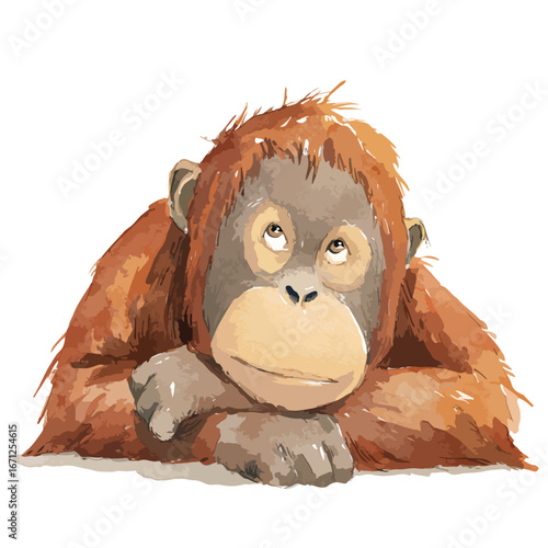 Watercolor Orangutan Gazing Upward with Thoughtful Expression and Resting Pose
