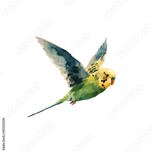 Watercolor Style Budgie in Flight Green and Yellow Plumage