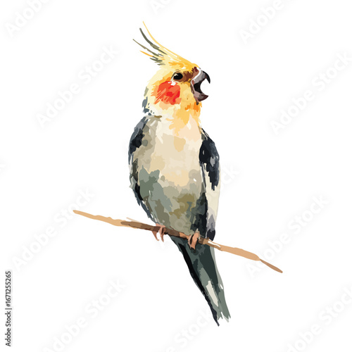 Watercolor Style Cockatiel Perched on Branch Open Beak