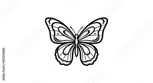 Black and White Butterfly Outline with Detailed Wing Design