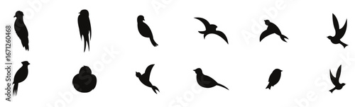 Birds silhouette vector set, silhouettes of birds set seagull vector.  Set of Birds in vector. vector illustration