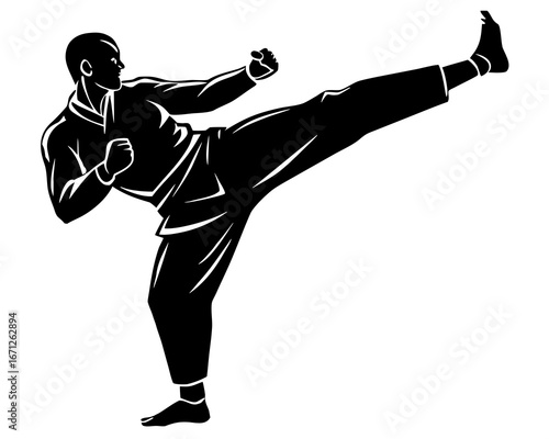 Martial arts kicking silhouette vector