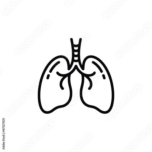 Human lungs trachea respiratory system anatomy line art medical