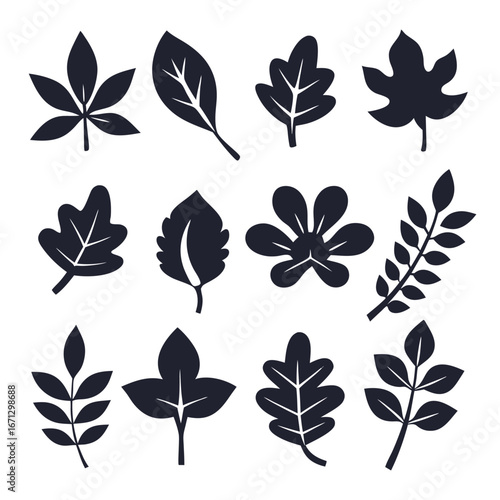 Different leaves in black silhouette are artistically displayed on a white background perfectly
