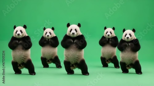 Wallpaper Mural Playful pandas strike a pose against a solid green background. Torontodigital.ca