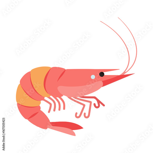 shrimp vector illustration design