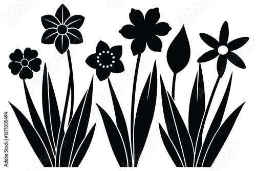 Black and White Silhouette of Flowers and Leaves of Daffodils and Unidentified Blossoms