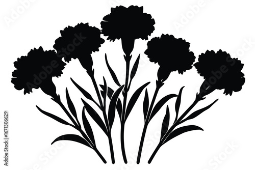 Carnation Flower Silhouette of Five Blossoms with Leaves on White Background