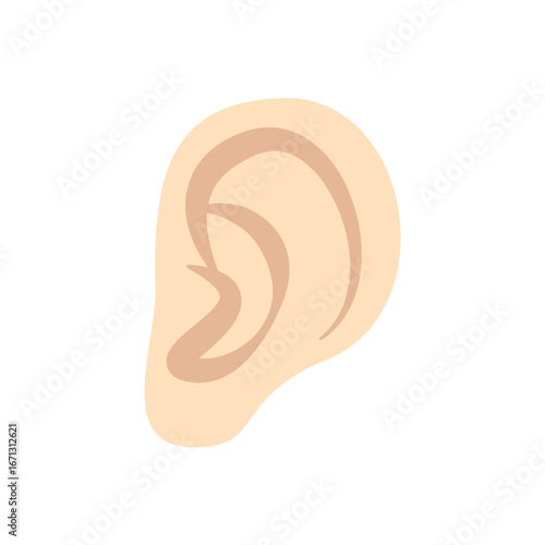 Close up human ear icon. Human ear isolated on white background Part of body. 
