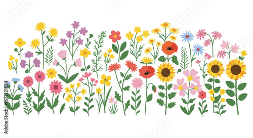 Floral garden assorted, cute colorful flowers with green stems and leaves