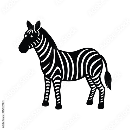 zebra isolated on white