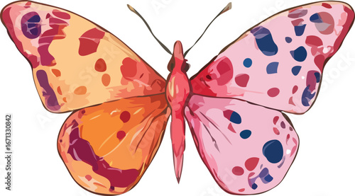 Butterfly vector illustration
