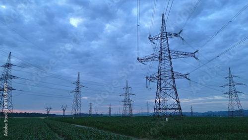 Power lines and pylons stretch across a vast agricultural landscape under a twilight sky, symbolizing sustainable energy and modern connectivity, captured in a full-length shot.