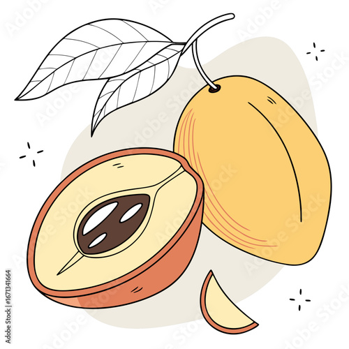 Fresh sapodilla fruit with a slice and leaf on a light background