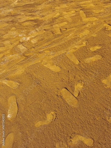 footprints in the sand