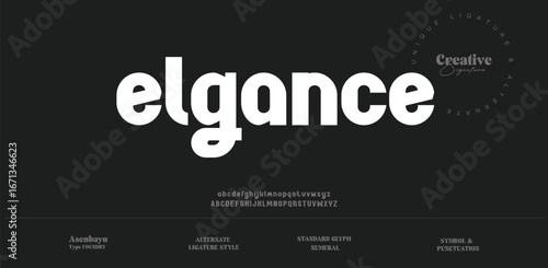 Unique bold angina display font vector