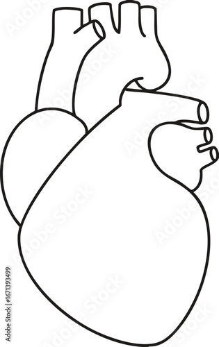 heart line drawing
