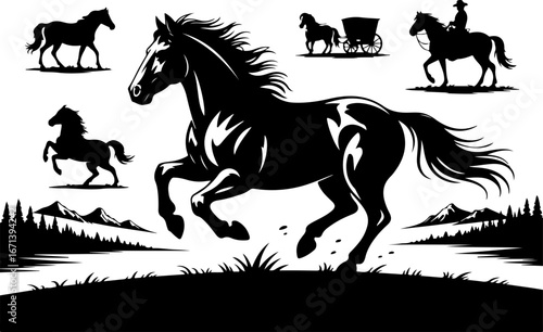 Cowgirl and Equestrian Horse Silhouettes"