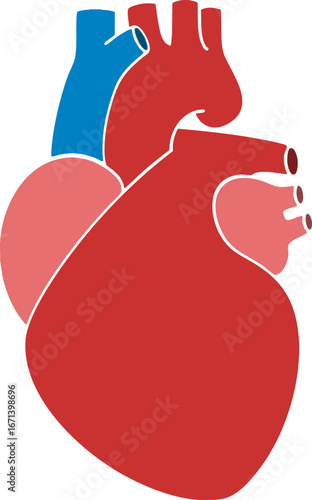 red heart with a stethoscope