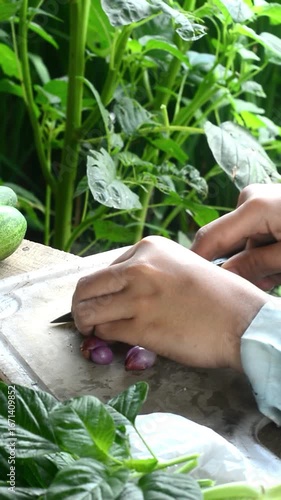 Preparing vegetables and herbs for tom yum soup in a countryside environment. Fresh ingredients and natural cooking atmosphere.
