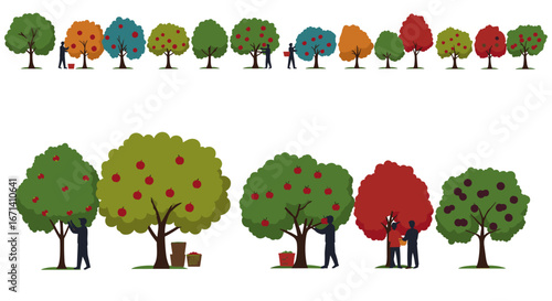 People picking ripe fruit from vibrant autumn trees in flat design style