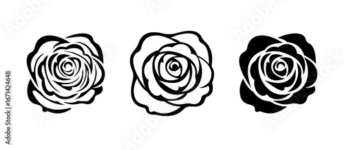 Elegant Rose Blossoms Black and White Graphic Illustrations