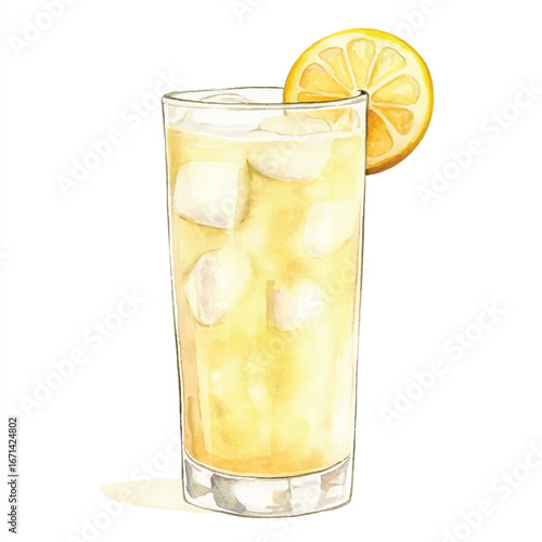 a cute Ginger ale in a tall glass with lemon slice