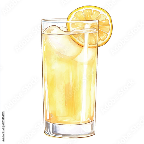 a cute Ginger ale in a tall glass with lemon slice