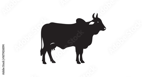 A striking black silhouette of a brahman bull standing proudly against a clean white background showcasing its distinctive hump and horns silhouette