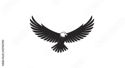 Majestic bald eagle in flight with wings spread wide showcasing its powerful silhouette against a clean white background