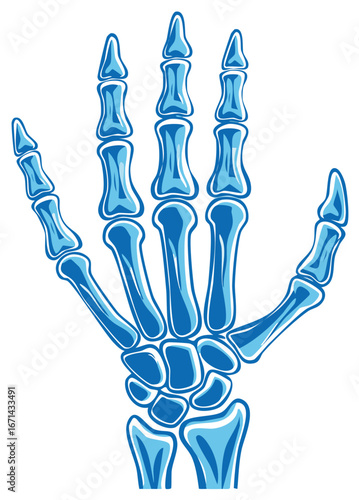 Illustration of Blue human hand bones, skeleton isolated on white background