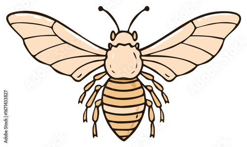 Simple Stylized Insect with Delicate Wings and Striped Body