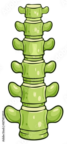 Healthy green human spine column with discs and vertebrae illustration
